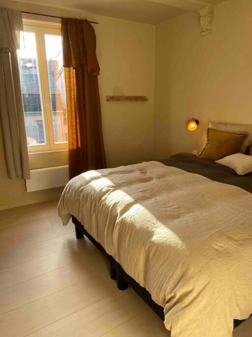 Suites Du Trefle Κολμάρ Εξωτερικό φωτογραφία